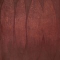 Smoke Tree