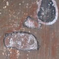 Oyster Family